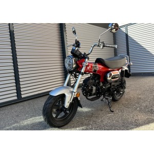 ORR Honda DAX 125 - ST 125 / "OFERTA DE VERANO"