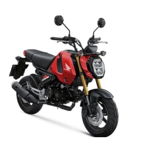 OTT Honda MSX 125 GROM - HONDA STUTTGART