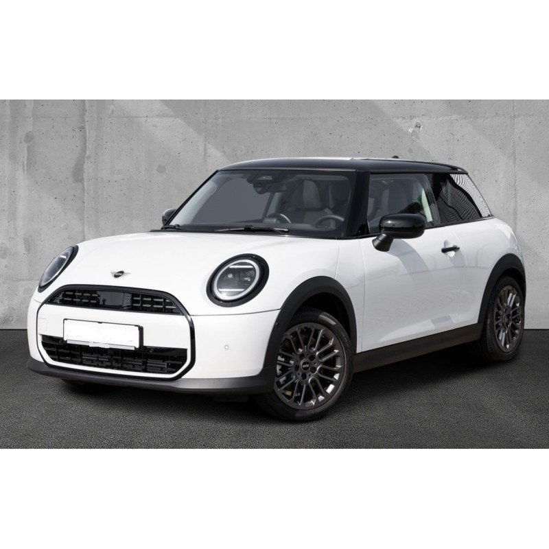 0146 (1008) MINI Cooper C Classic Trim. Paket M. Panodach. Hea