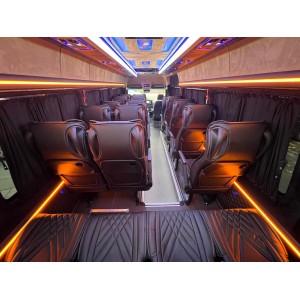 Mercedes-Benz SPRINTER 519 VIP 20 MINI BUS  RF:14880019