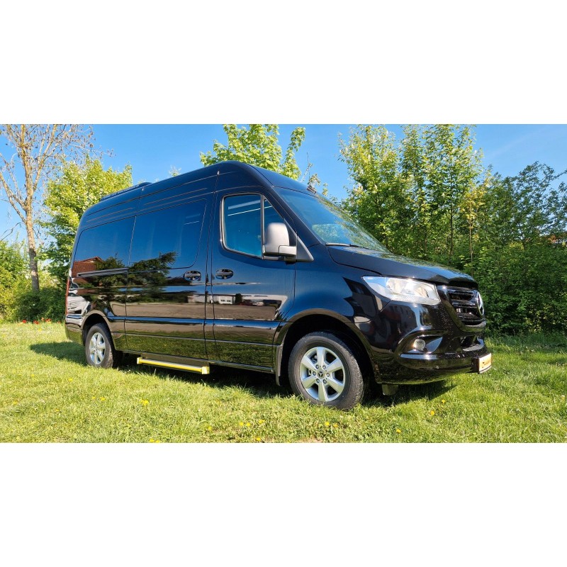 Mercedes-Benz 315 VIP Cityshuttle, vehículo de almacenamiento de 12 plazas