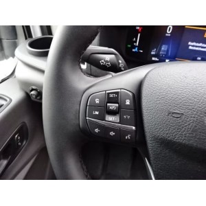 Ford Transit 460L4 Autom 18Sitzer Stndhzg