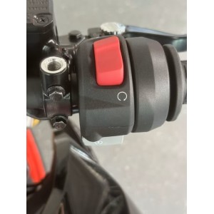 BMW G 310 R Tageszulassung